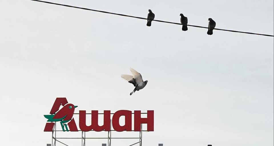 Как начисляются баллы на карту Ашана