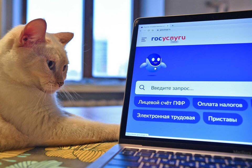 Как заказать выписку онлайн