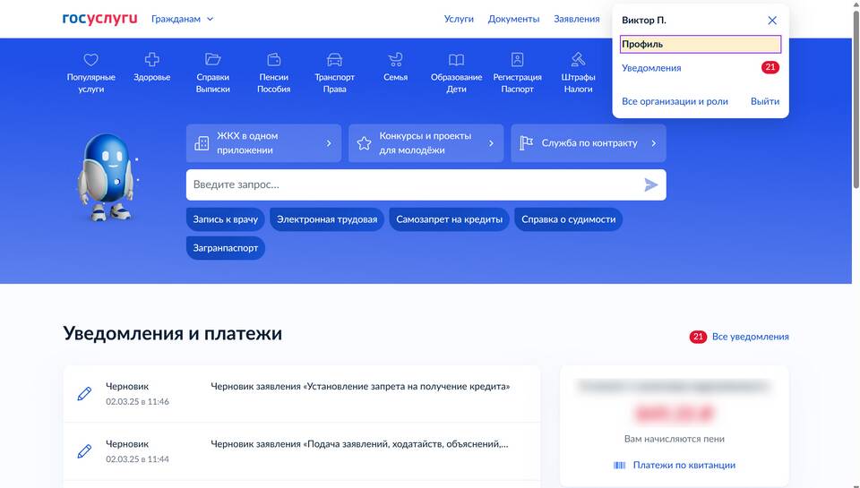 Почему на Госуслугах не проходит заявление