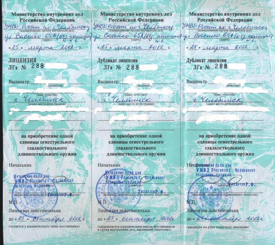 Укажите реквизиты лицензии на оружие: что это