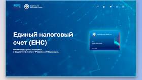 Что такое сальдо в налоговой в Горздрав