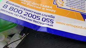 EMS доставка: что это и как работает в Горздрав