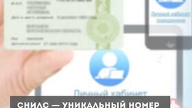 Как найти СНИЛС по паспорту иностранного гражданина в Горздрав