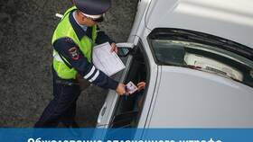 Как подать жалобу на штраф ГИБДД в Горздрав