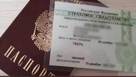 Как узнать серию паспорта человека в Горздрав
