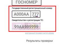 Как узнать за что штраф МВД: способы проверки в Горздрав