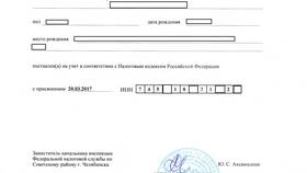 Как выглядит документ СНИЛС: внешний вид и фото в Горздрав