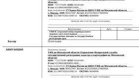 Как заполнить платежное поручение на оплату госпошлины в Горздрав