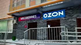 Когда появились Ozon и Wildberries в России в Горздрав
