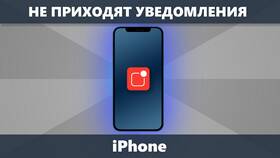 Почему ночью на iPhone не приходят уведомления в Горздрав