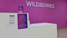 Wildberries как юридическое лицо в Горздрав