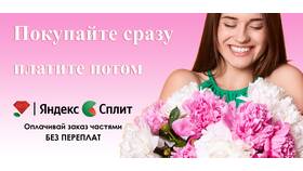 Яндекс Сплит: оплата частями - что это в Горздрав